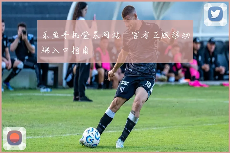 乐鱼手机登录网站 - 官方正版移动端入口指南